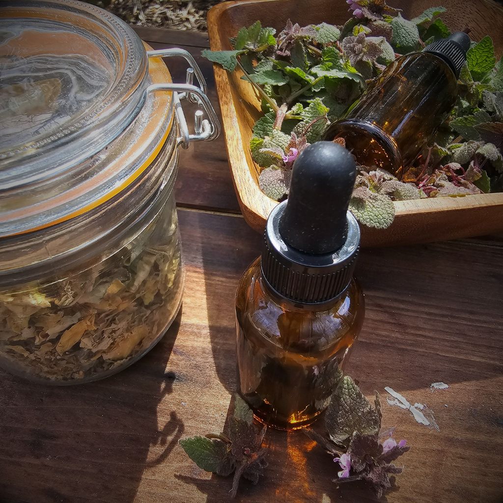 Nettle Tincture 